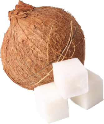 coconut with three cubes of solid coconut oil