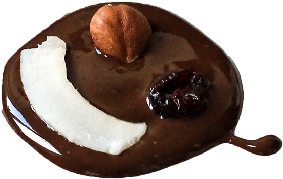 chocolate circle with coconut and hazelnut