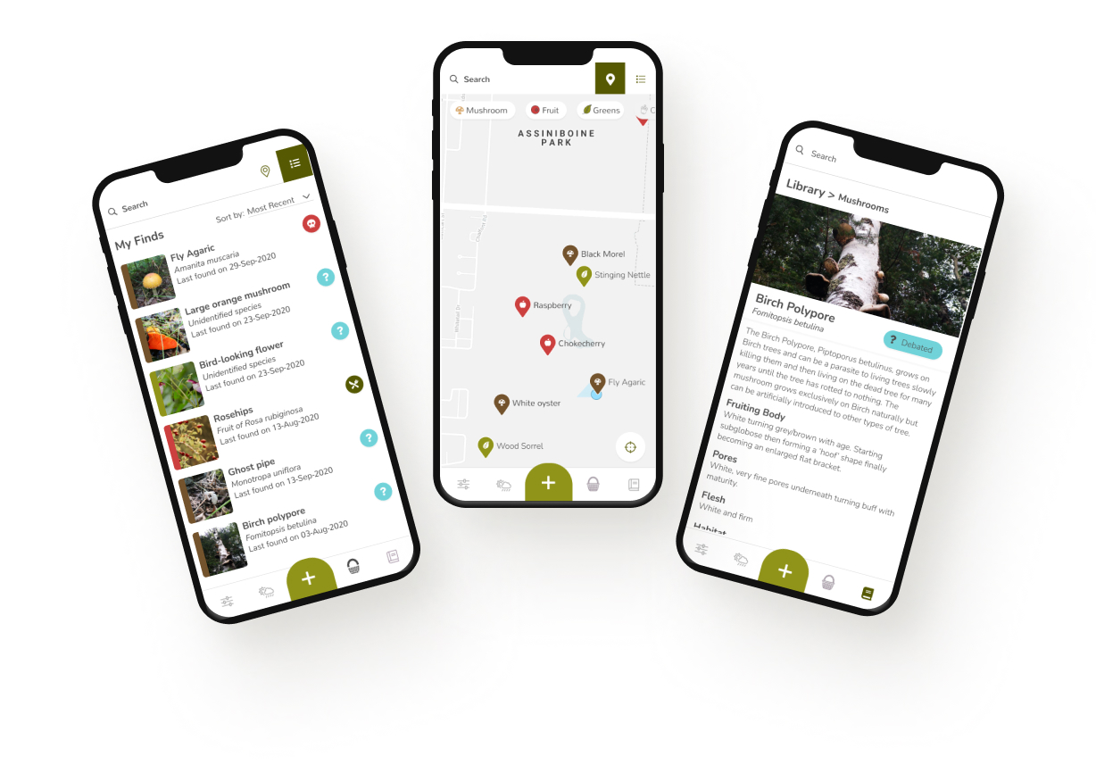 three app screens showing a foraging app map and journal